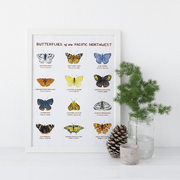 butterflies of the pacific northwest watercolor art print