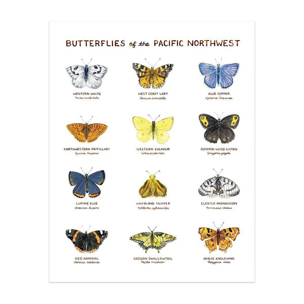 Pacific Northwest Butterflies Art Print featuring watercolor illustrations of twelve native butterflies with their names, created by Brigida Swanson on archival paper. Frame not included.