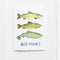 best fishes birthday card with watercolor trout illustrations