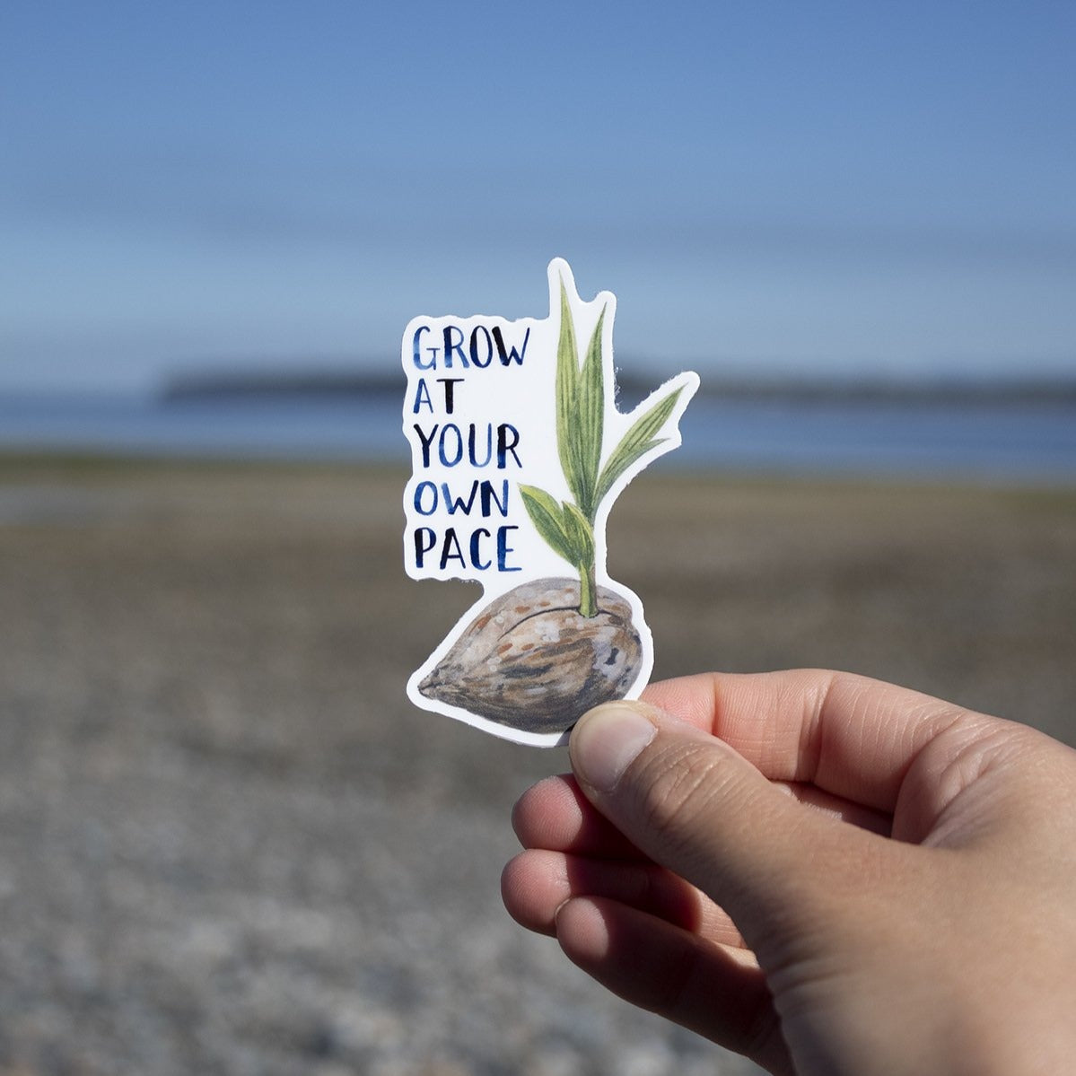 coconut sprout grow at your own pace sticker