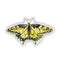 Oregon Swallowtail Butterfly - Watercolor Nature Sticker