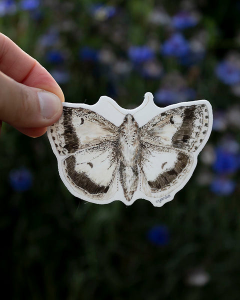Moth Vinyl Sticker - 3