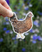 Speckled Sussex Hen - Watercolor Chicken Sticker