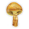 Larch Bolete Mushroom - Watercolor Mushroom Sticker