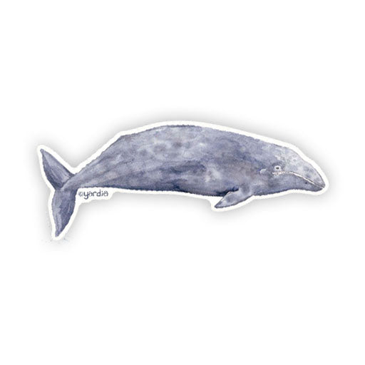Gray Whale - Watercolor Coastal Nature Sticker