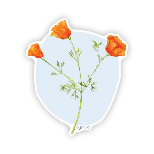 California Poppy - Watercolor Wildflower Sticker