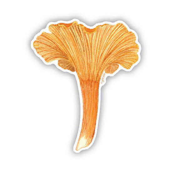 Cinnabar Chanterelle - Watercolor Mushroom Sticker close-up; features a detailed watercolor illustration of the mushroom, perfect for decorating laptops or water bottles.