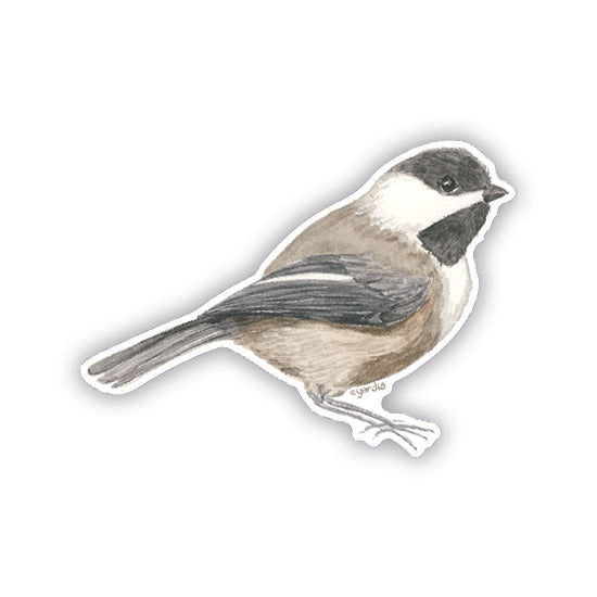 Chickadee Sticker - Watercolor Bird Sticker for Birders