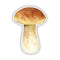 King Bolete - Watercolor Mushroom Sticker