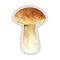 King Bolete - Watercolor Mushroom Sticker featuring a detailed botanical illustration of an edible mushroom, made from waterproof, fade-proof vinyl, ideal for outdoor adventures.