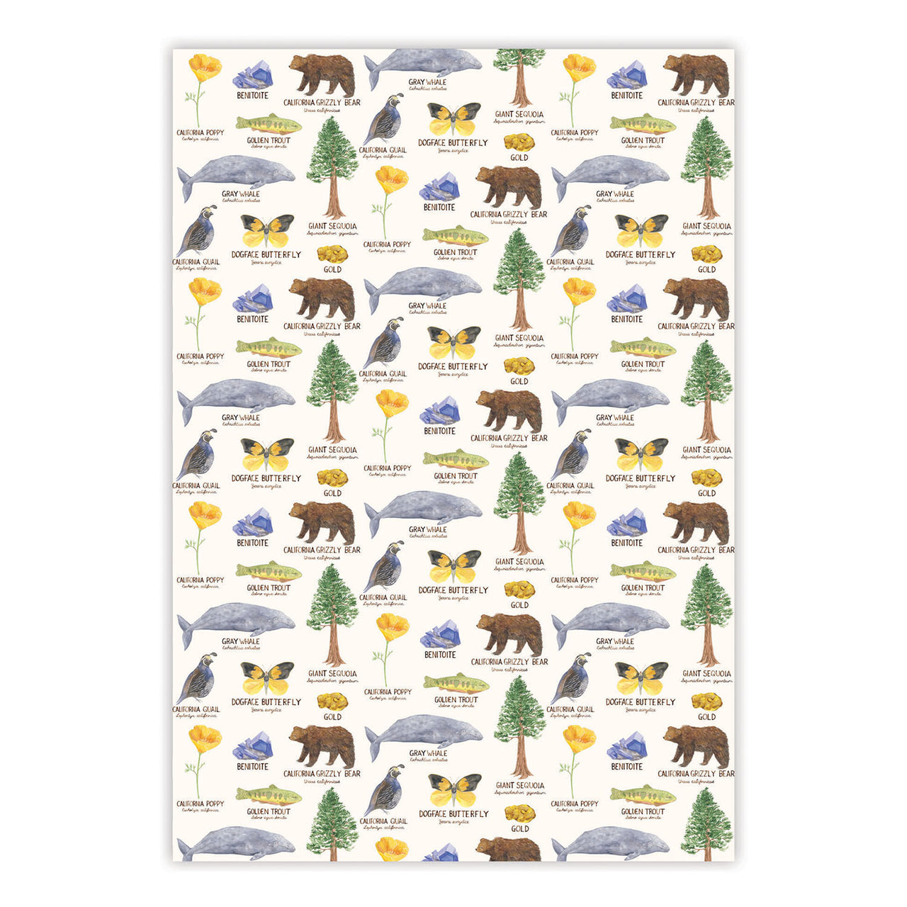california wrapping paper with state symbols illustrations