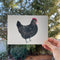 a hand holds a small original watercolor painting of an australorp chicken