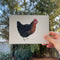 a hand holds a small original watercolor painting of a black star chicken