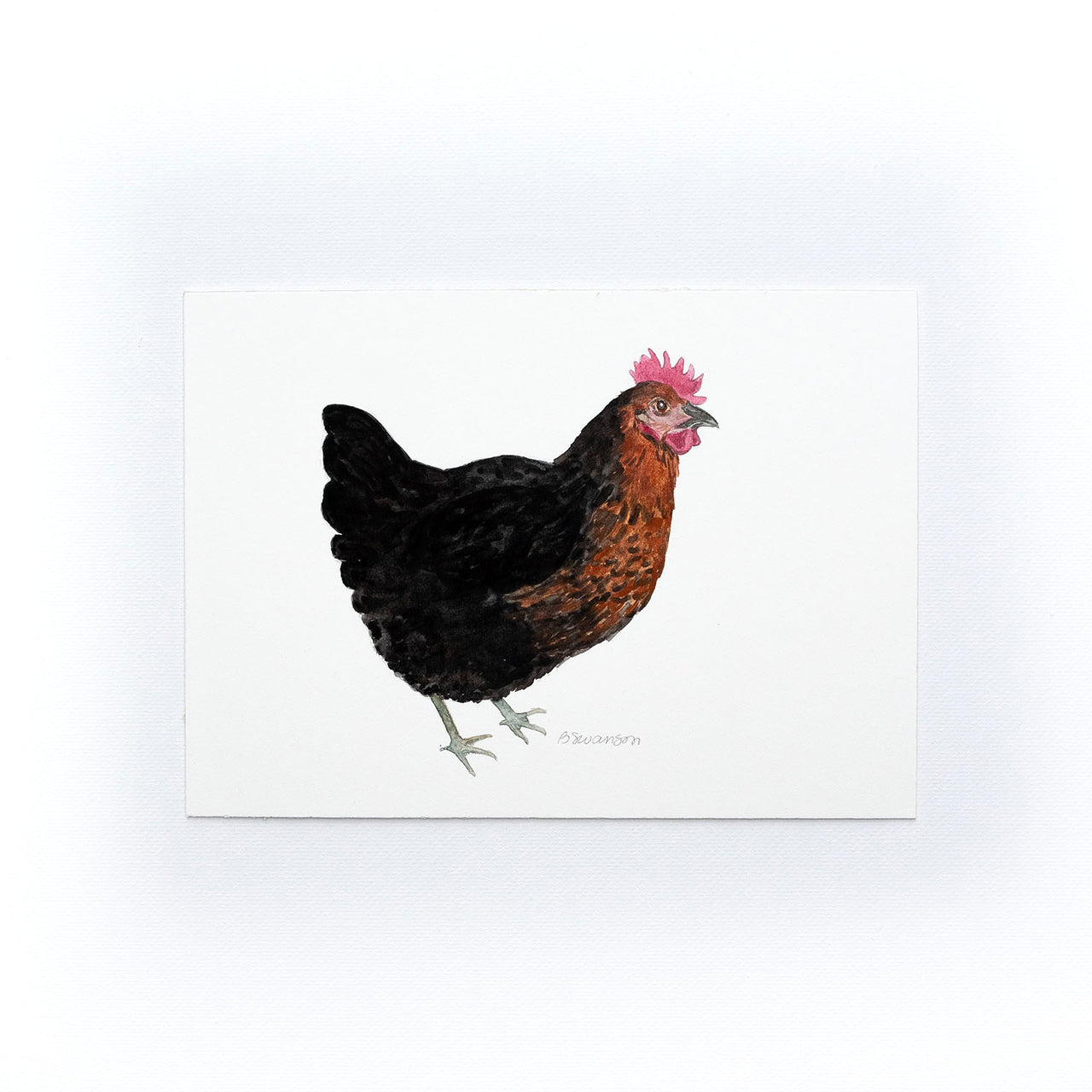 small original watercolor painting of a black sexlink chicken