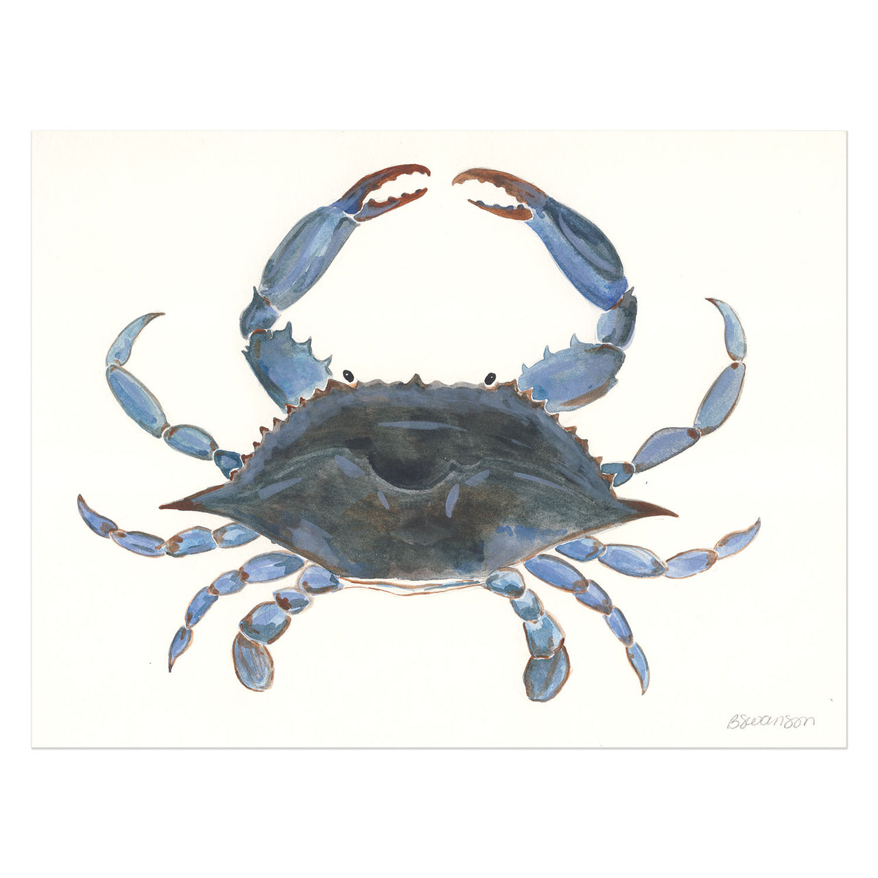 original watercolor painting of a Maryland blue crab