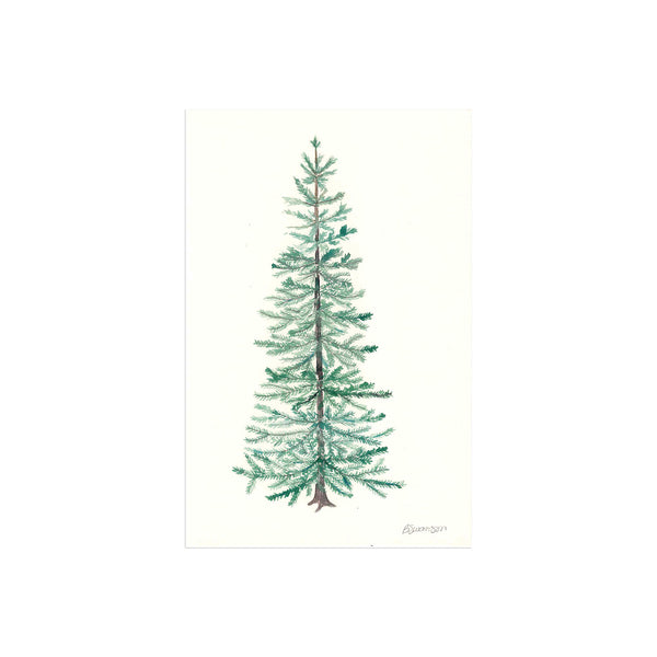 original watercolor painting of a blue spruce tree