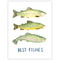 trout birthday and congratulations card with watercolor fish and text reading best fishes