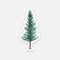 douglas fir tree sticker
