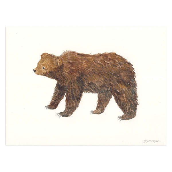 original watercolor painting of a grizzly bear
