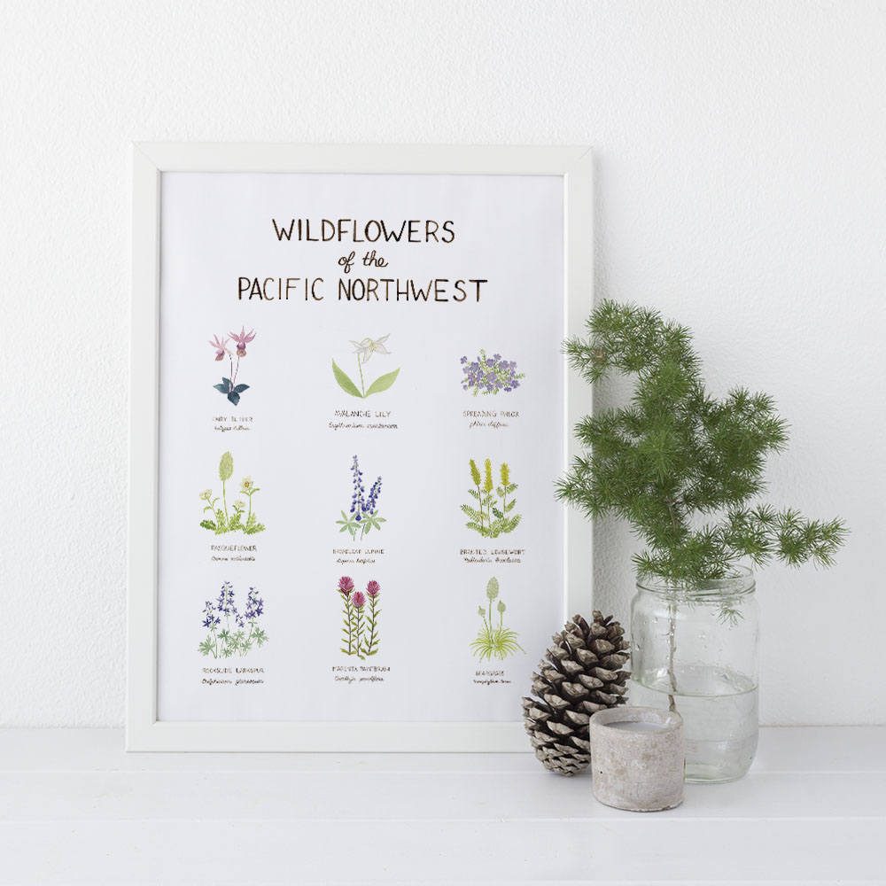 wildflowers of the pacific northwest watercolor art print