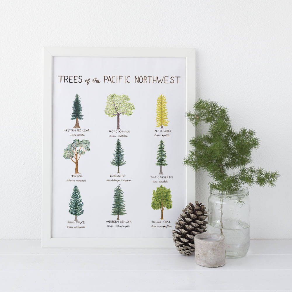 Trees of the Pacific Northwest wall art print, displayed in white frame with natural home decor