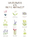 northwest wildflowers watercolor nature identification wall art