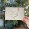 a hand holds a small original watercolor painting of a leghorn chicken
