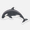 orca sticker