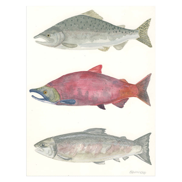 original watercolor painting of three salmon fish