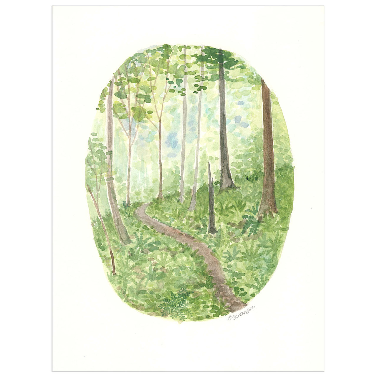 original watercolor painting of a forest trail in seattle, with trees and ferns