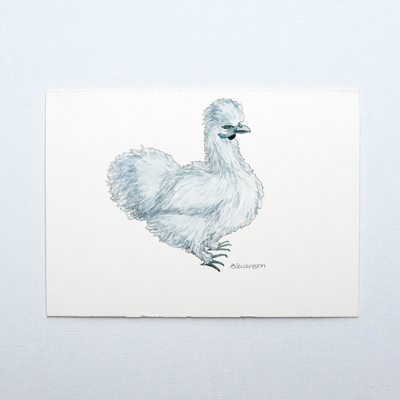 small original watercolor painting of a silkie chicken