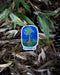 strength redwood tree sticker on forest floor
