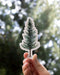 tree vinyl sticker of douglas fir