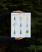 Pacific Northwest trees watercolor art print is held in the artist's hands against a forest background